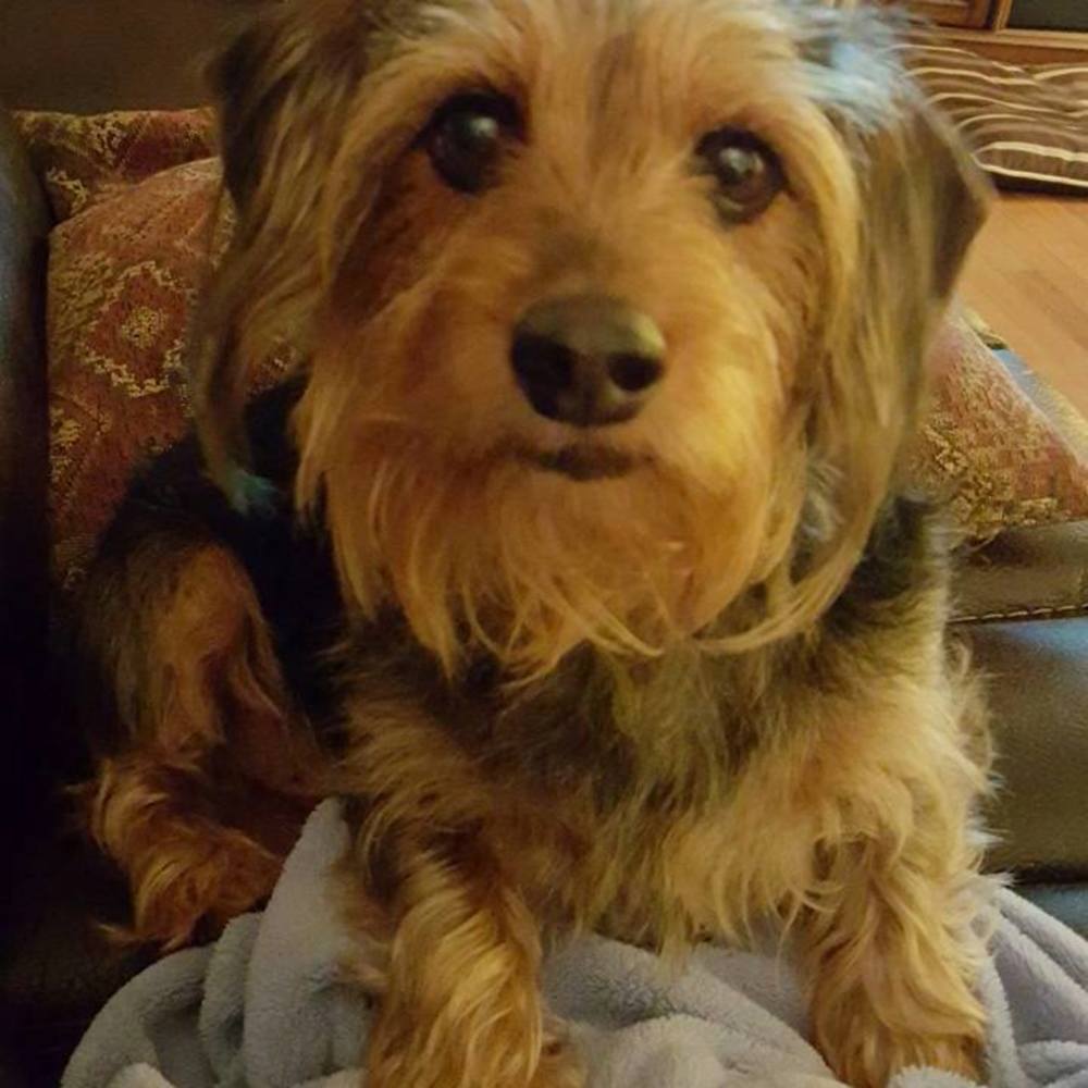 Meet your Posher, Holly
